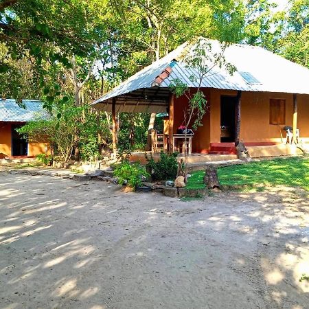 Sahana Retreat Buttala Ngoại thất bức ảnh