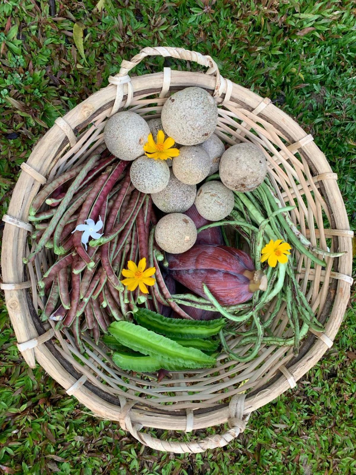 Sahana Retreat Buttala Ngoại thất bức ảnh