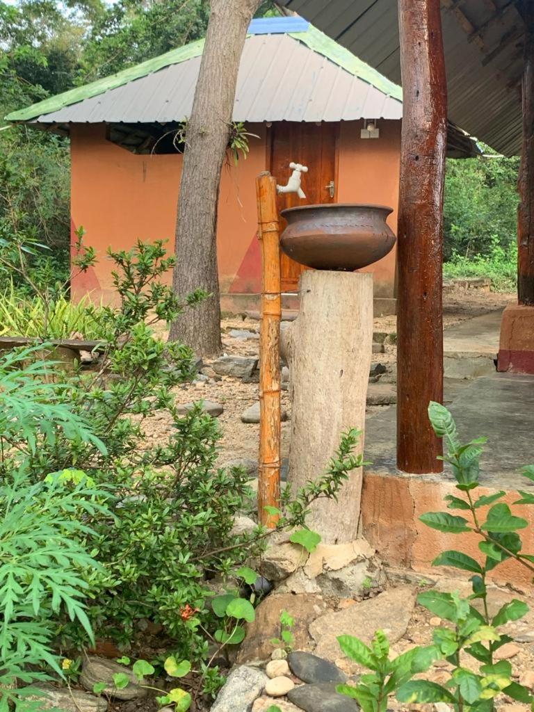 Sahana Retreat Buttala Ngoại thất bức ảnh