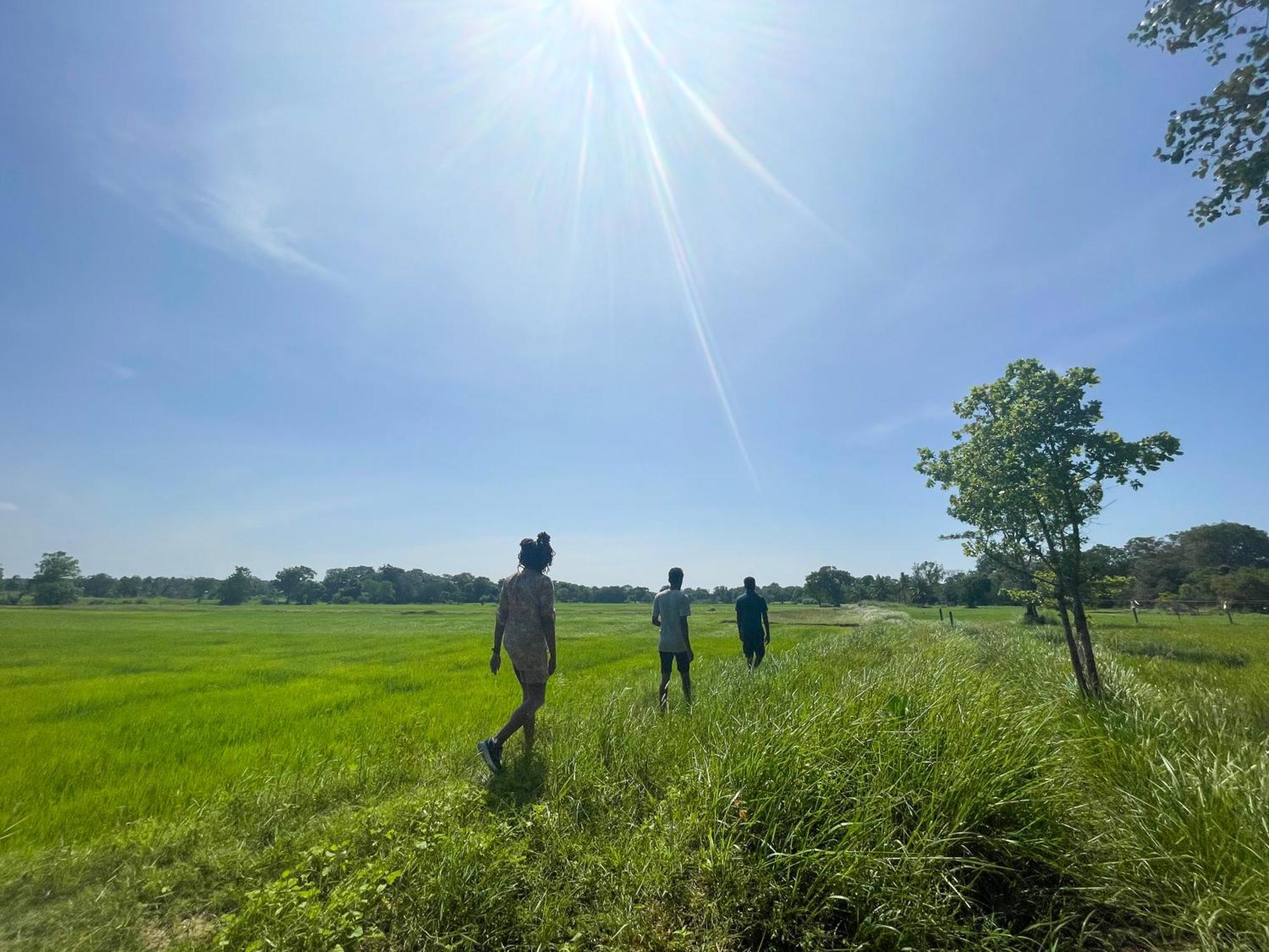 Sahana Retreat Buttala Ngoại thất bức ảnh