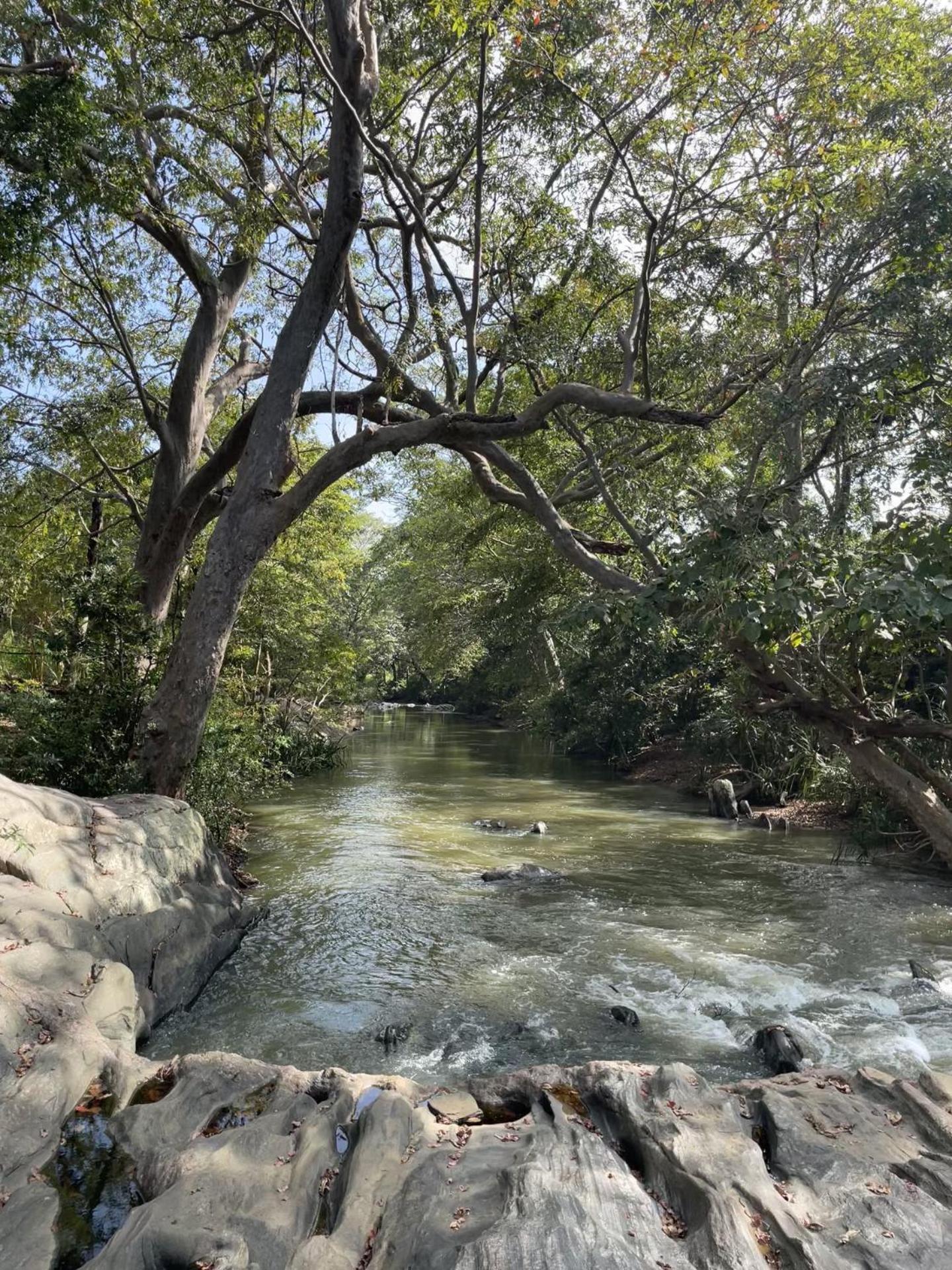 Sahana Retreat Buttala Ngoại thất bức ảnh