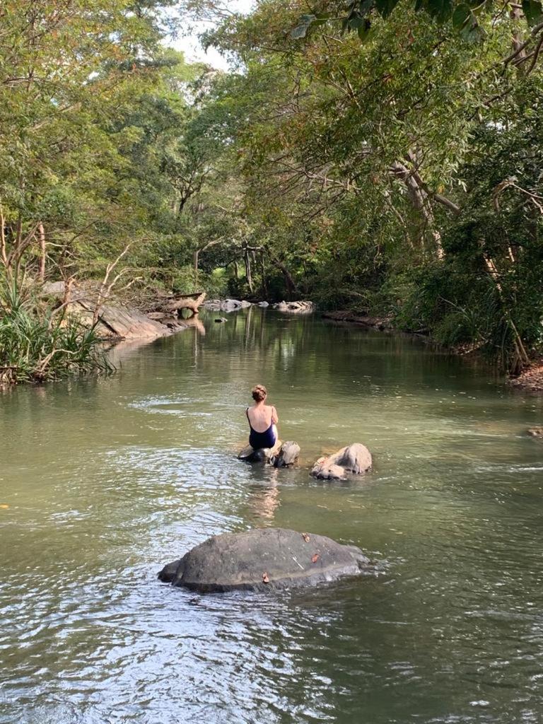Sahana Retreat Buttala Ngoại thất bức ảnh