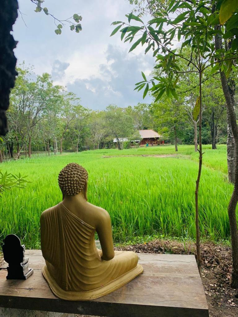 Sahana Retreat Buttala Ngoại thất bức ảnh