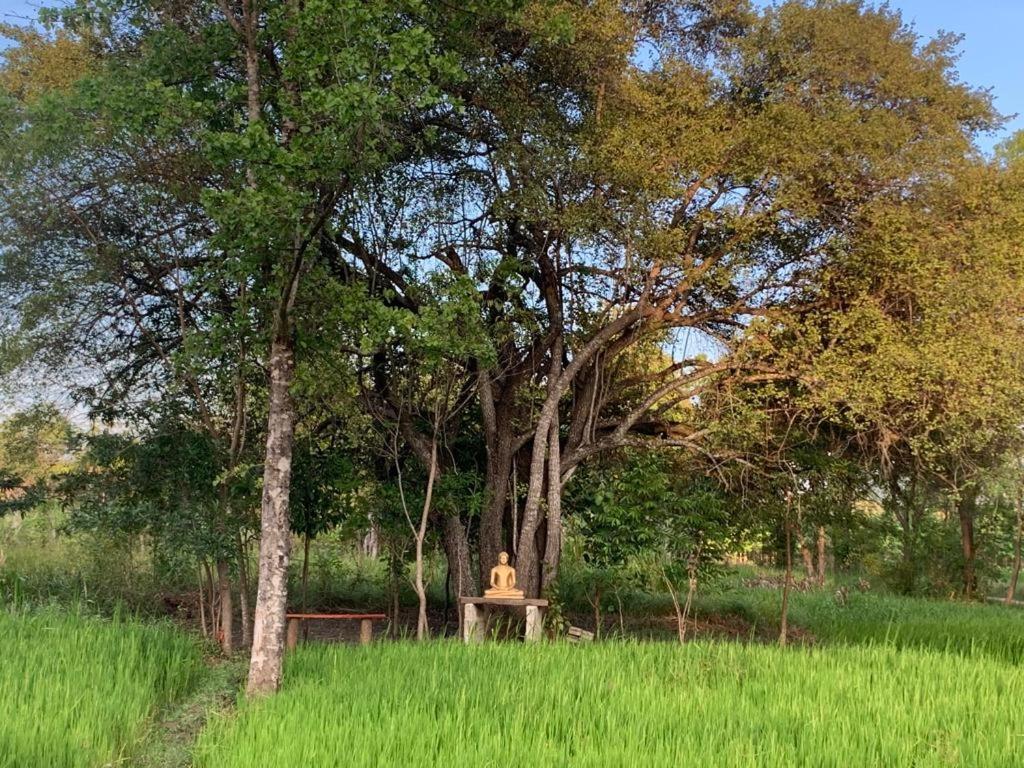 Sahana Retreat Buttala Ngoại thất bức ảnh