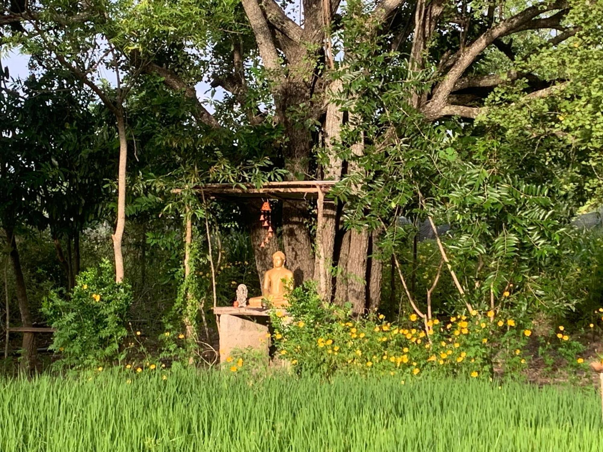Sahana Retreat Buttala Ngoại thất bức ảnh