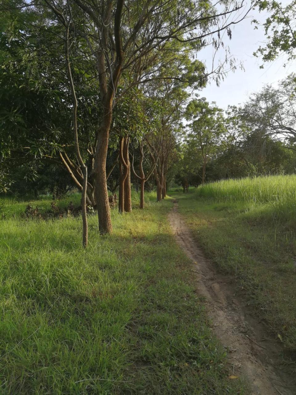 Sahana Retreat Buttala Ngoại thất bức ảnh