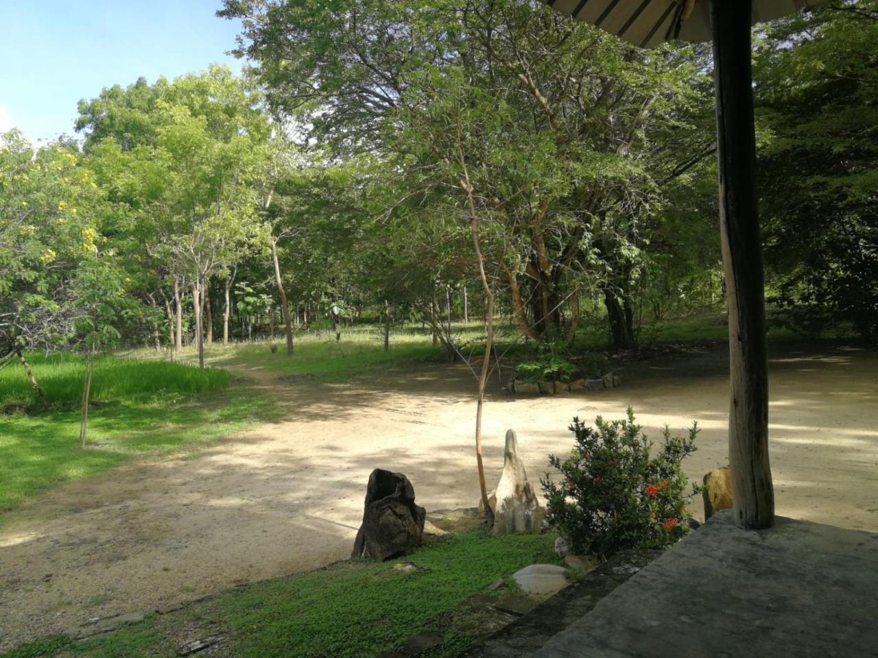 Sahana Retreat Buttala Ngoại thất bức ảnh
