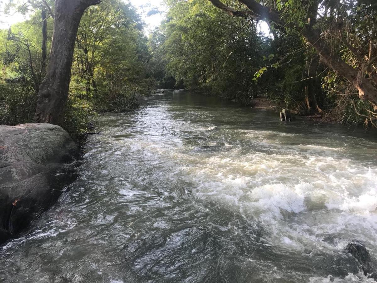 Sahana Retreat Buttala Ngoại thất bức ảnh